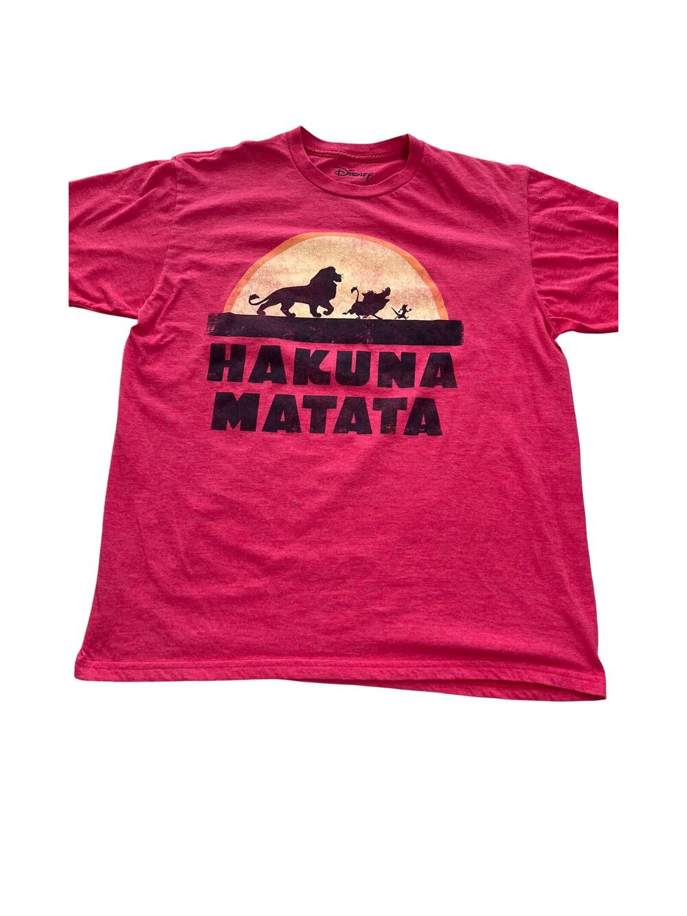 Disney Lion King Hakuna Matata Tshirt Large